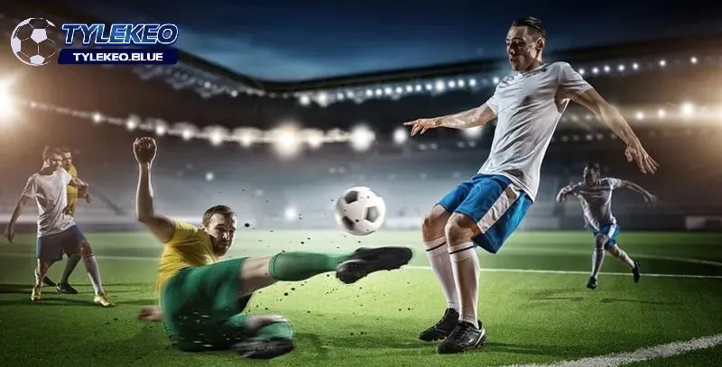Hiểu rõ về kèo rung và tỷ lệ nhà cái trong trận đấu
